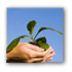 Business and Ecology